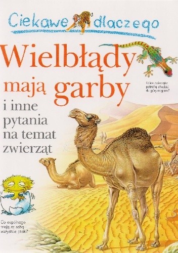 482345909 1032319382269735 7382492295410234932 N