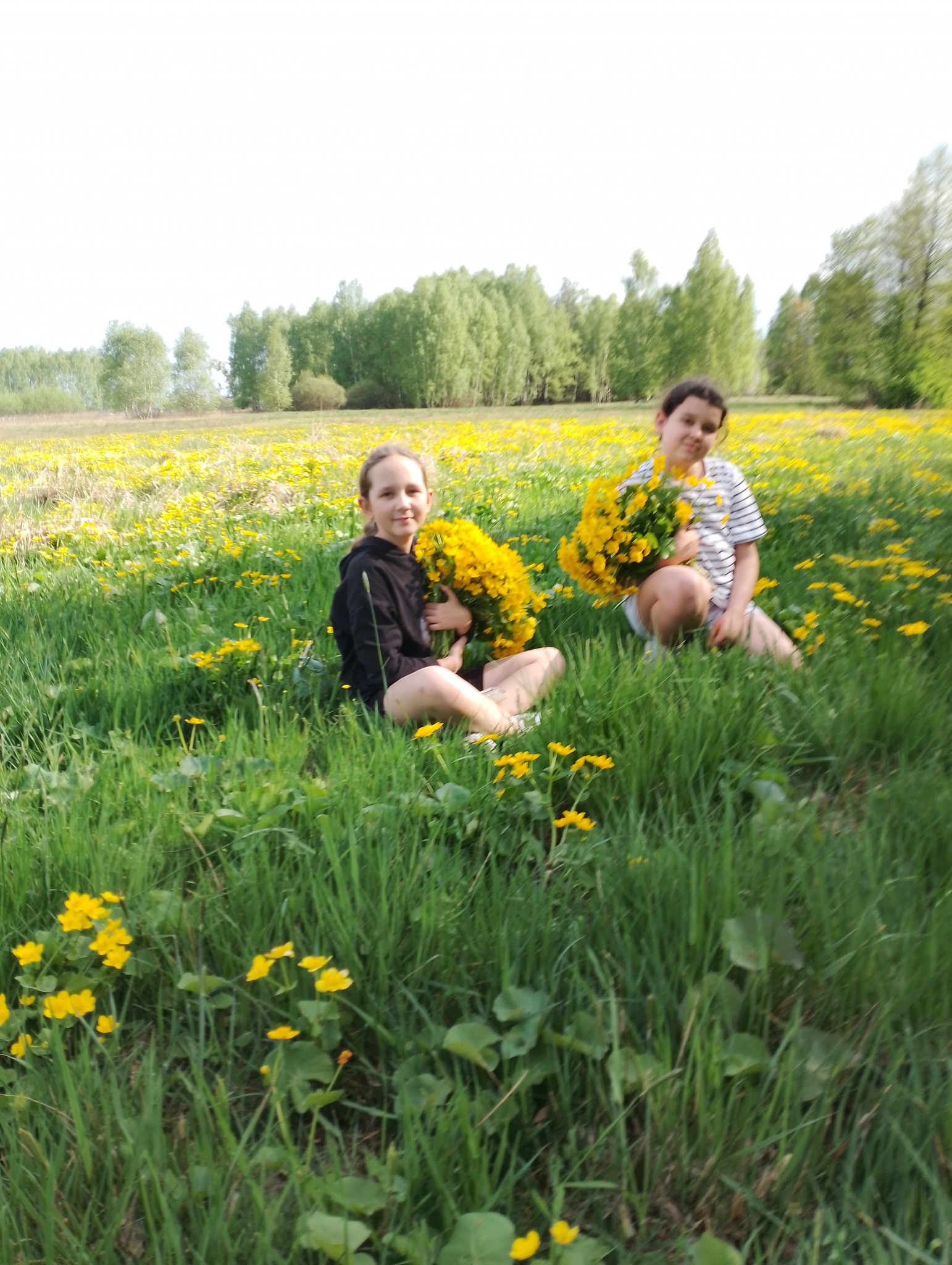 495337822 1291293235802118 5152733471811150082 N