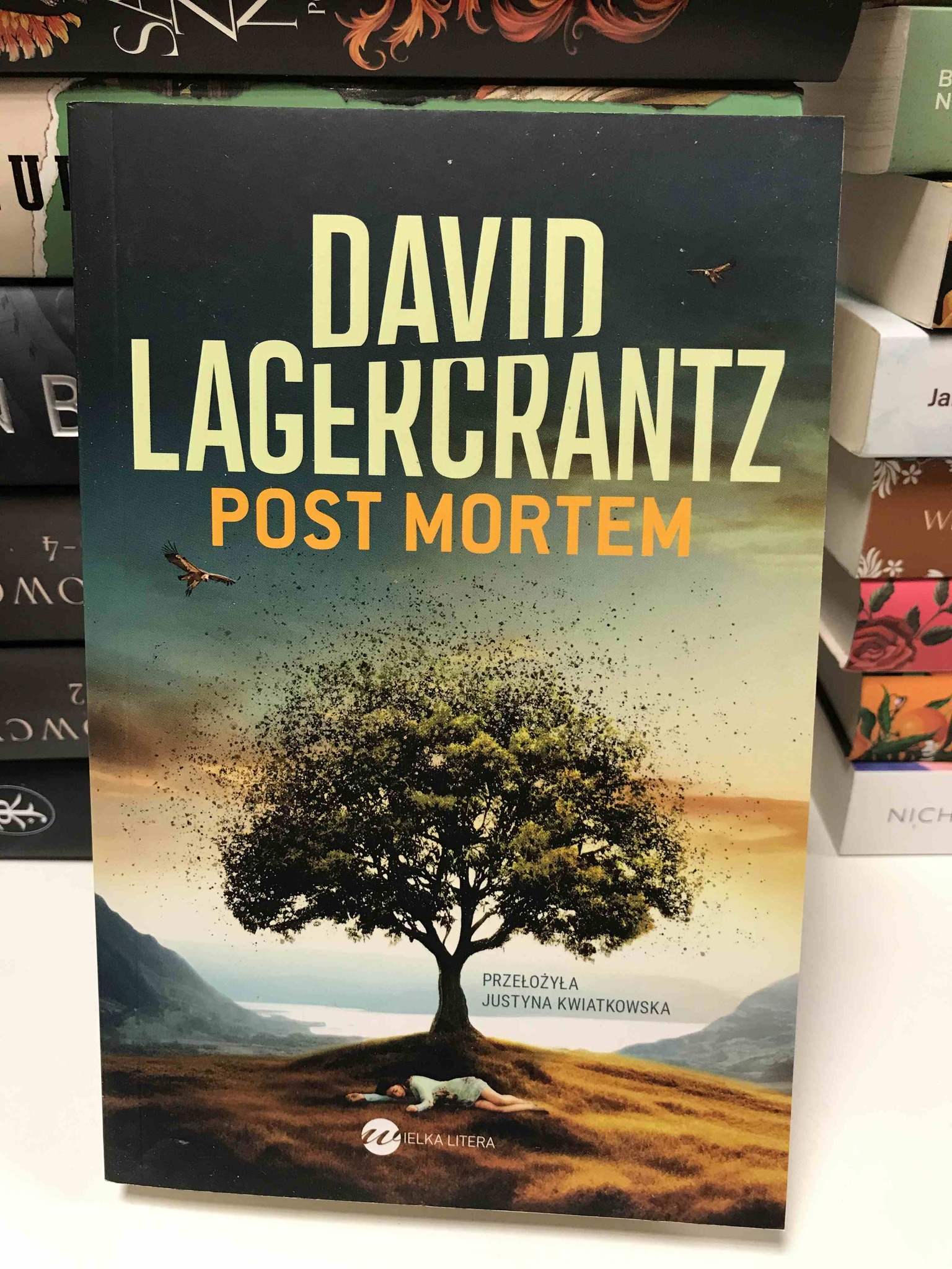 560933033 1650963426334203 2325239432516942016 N