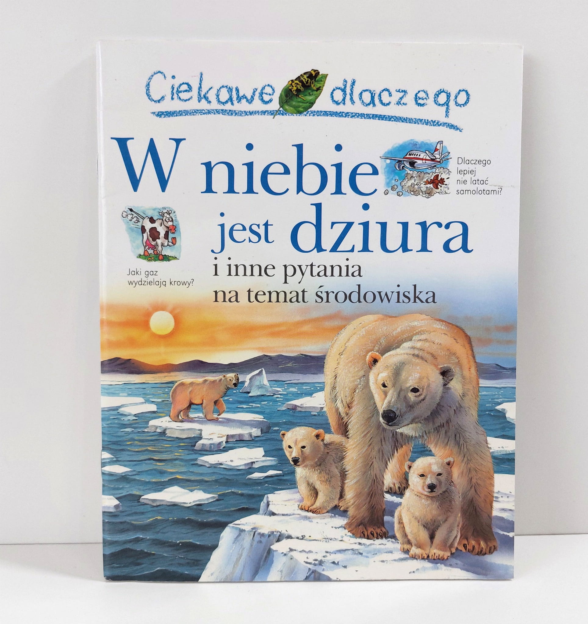 482350101 1032319322269741 380998865435951466 N