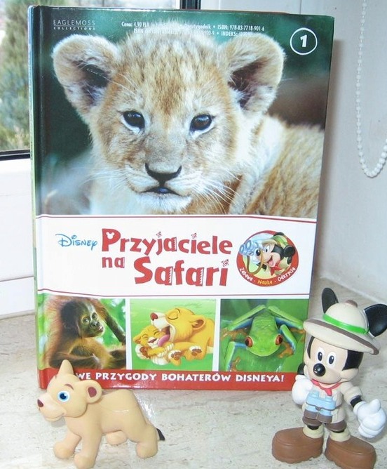 482980454 1032387648929575 152726612345508426 N