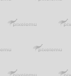 Zapisy na wyjazd feryjny - Groble, Krzywdy, Sibigi