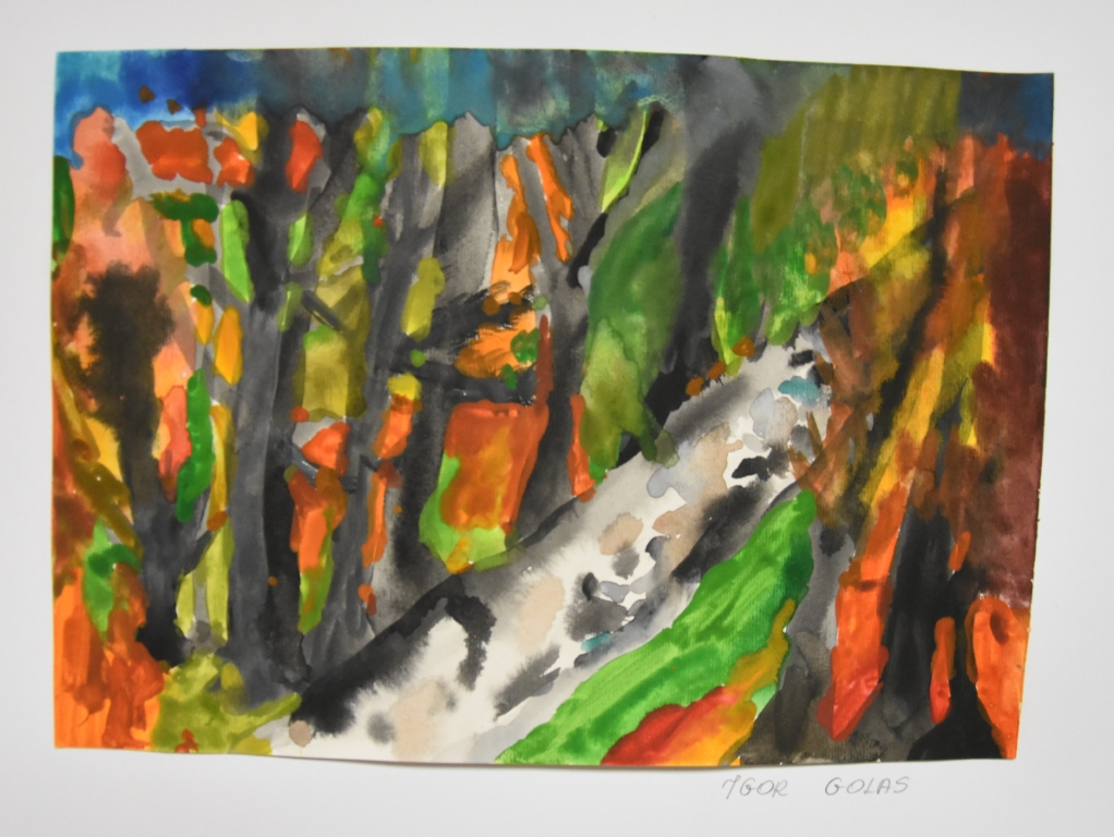 Igor Golas. Wyróżnienie (Kategoria 2 Klasy I III)