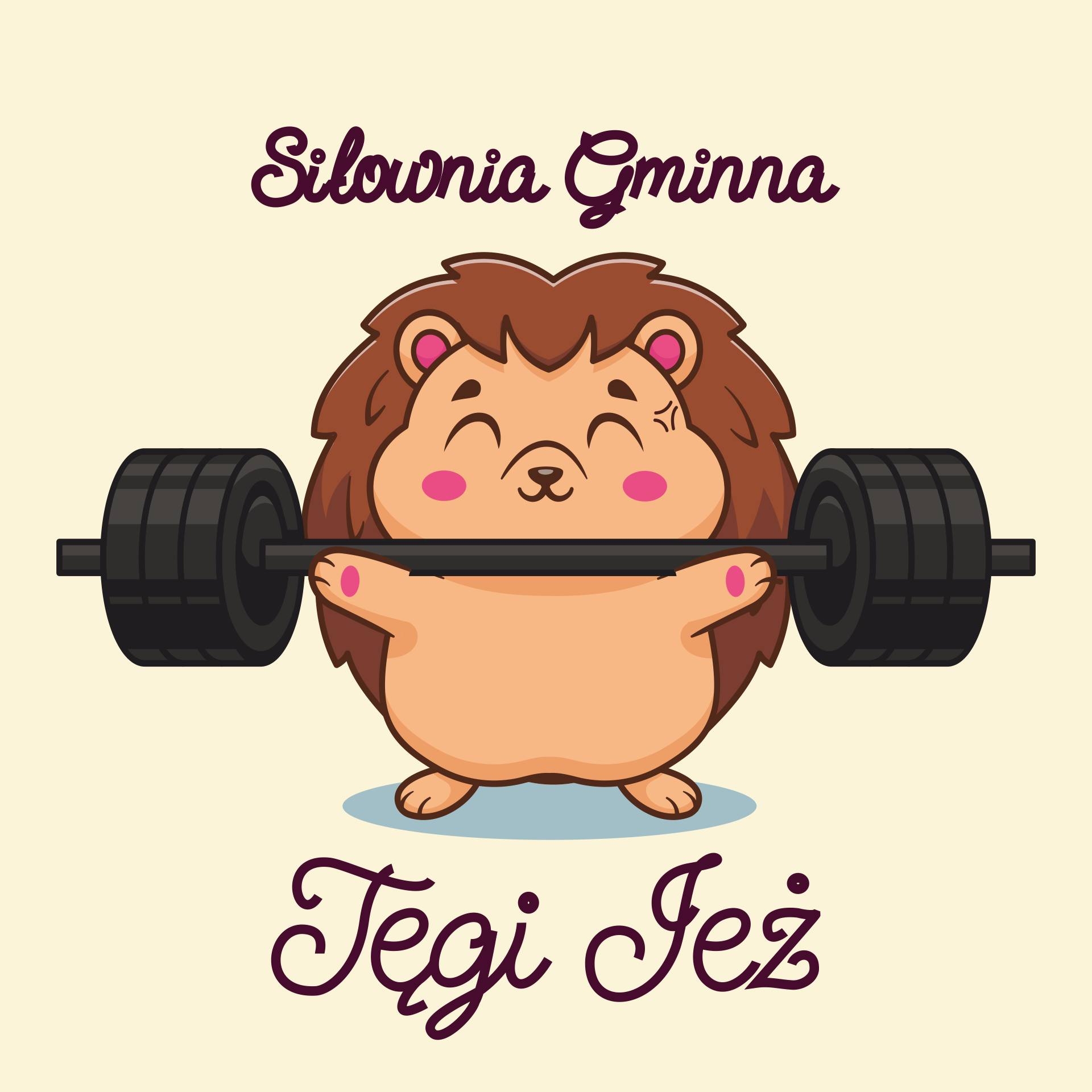 Siłownia Gminna Tęgi Jeż