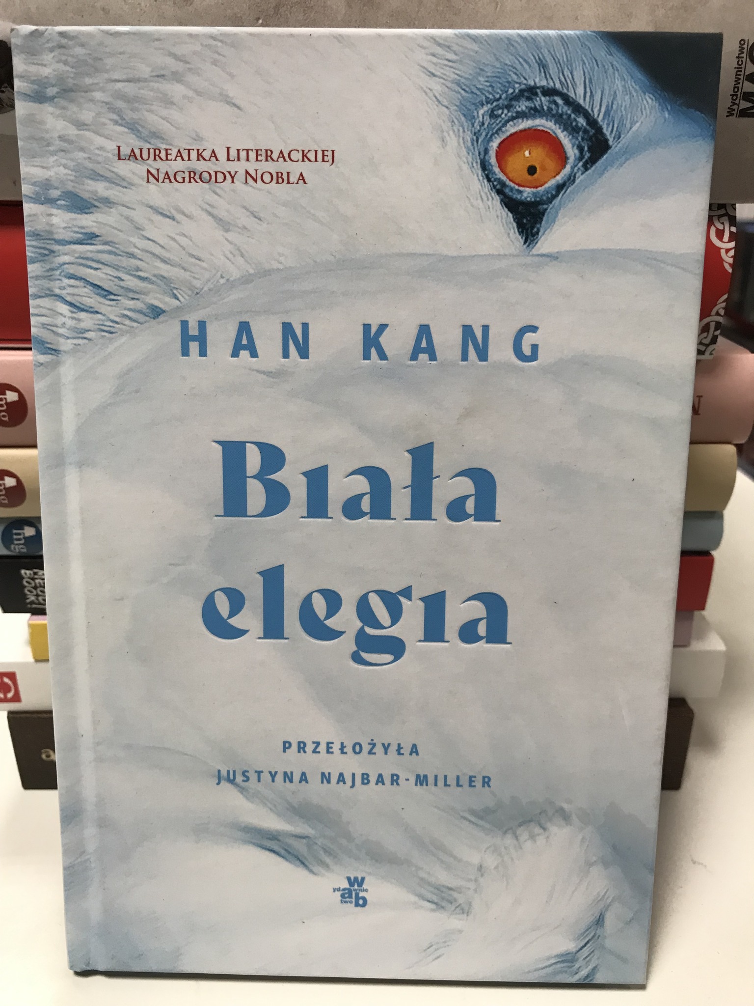 493719718 1502614617835752 3386455685559158713 N