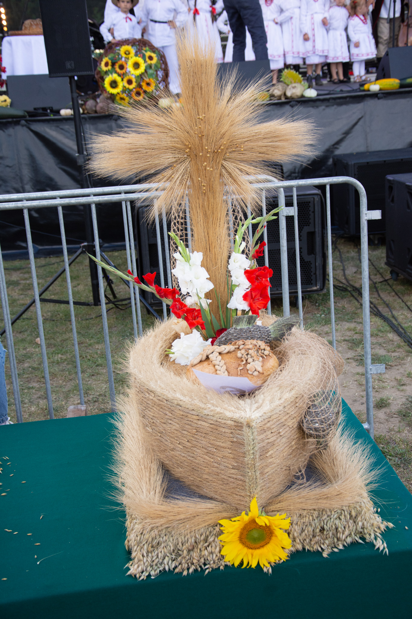 538615870 1189615633193826 1295840260722764343 N