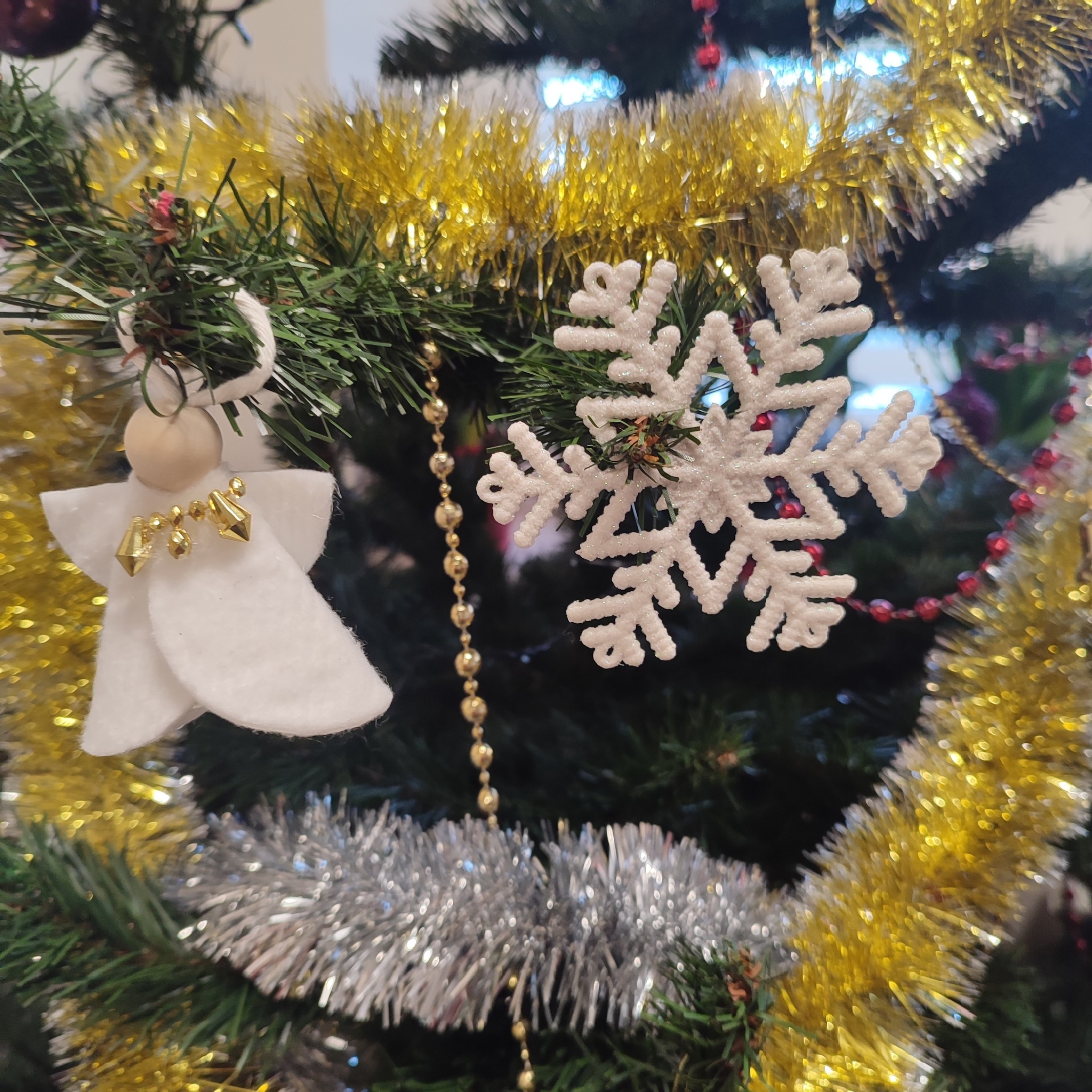 598969695 1269821321845649 1654964507774737294 N