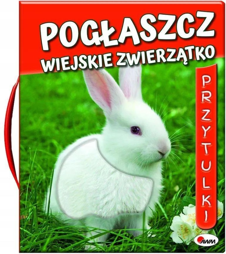 485163530 1040008231500850 1601578091821258090 N