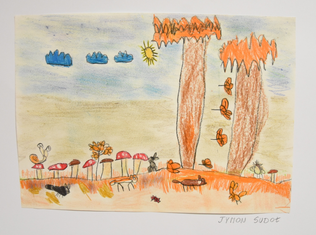 Tymon Sudoł 2 Miejsce (Kategoria 1 Dzieci Do Lat 6)