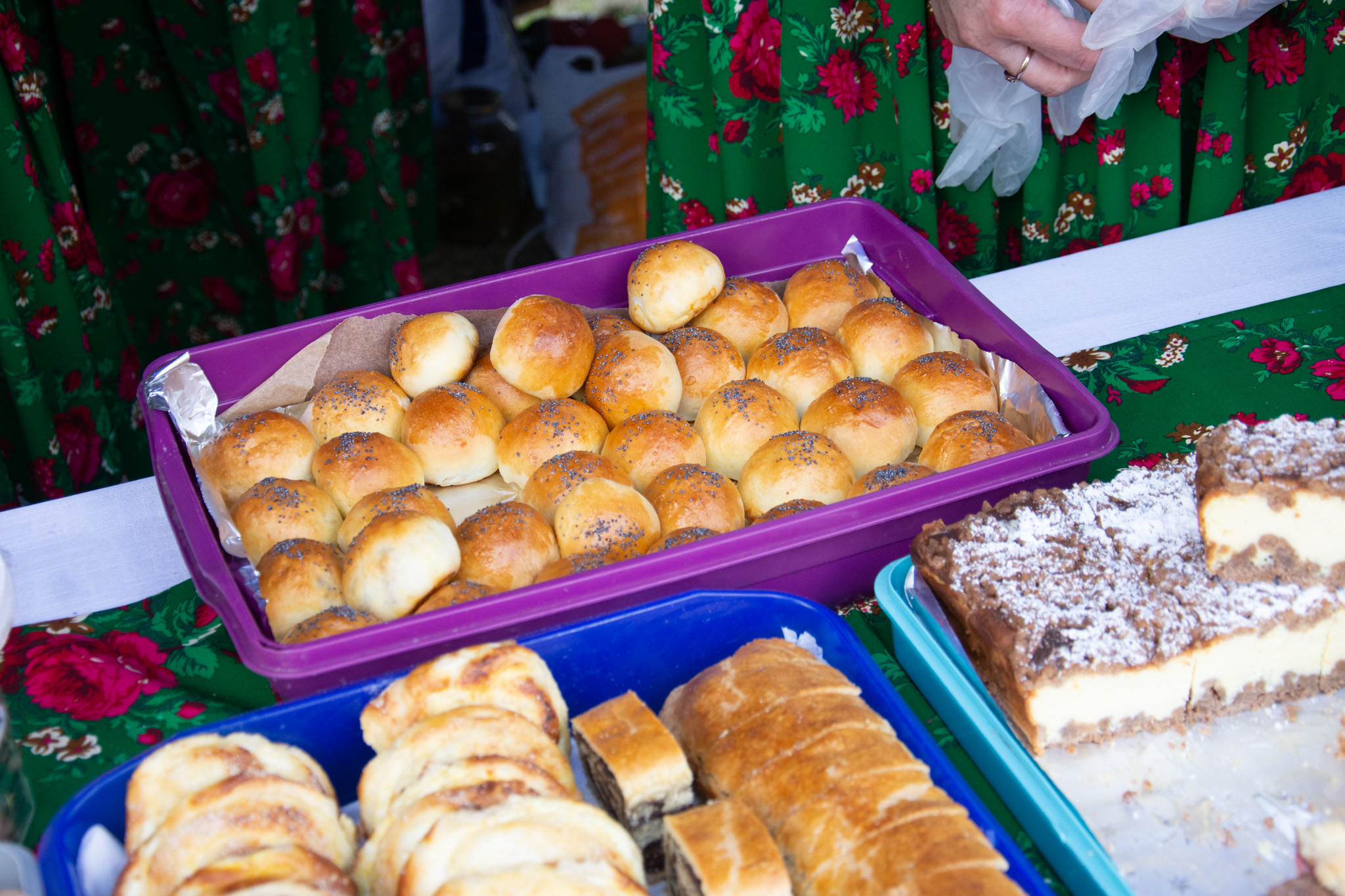 540705066 1189615549860501 4496827369095349750 N