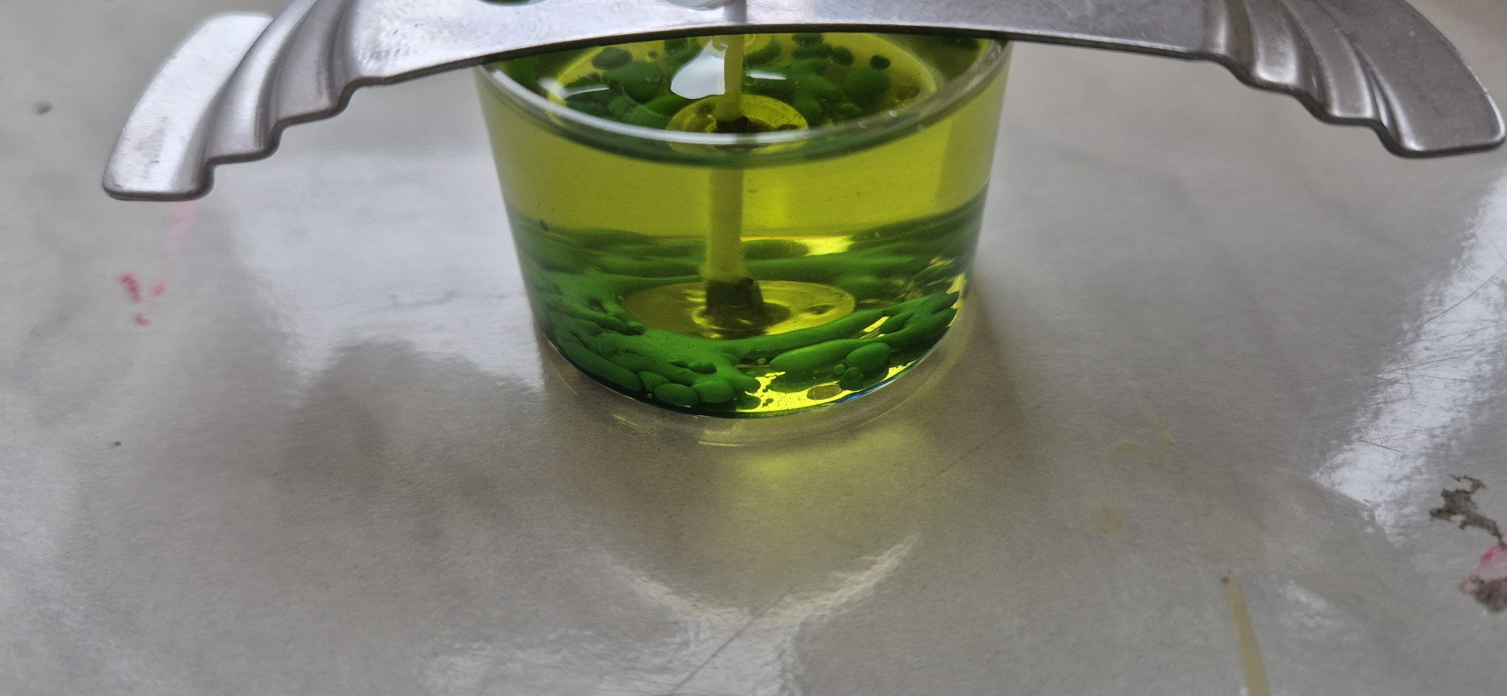 499474833 1085932583575081 5577579251066798671 N