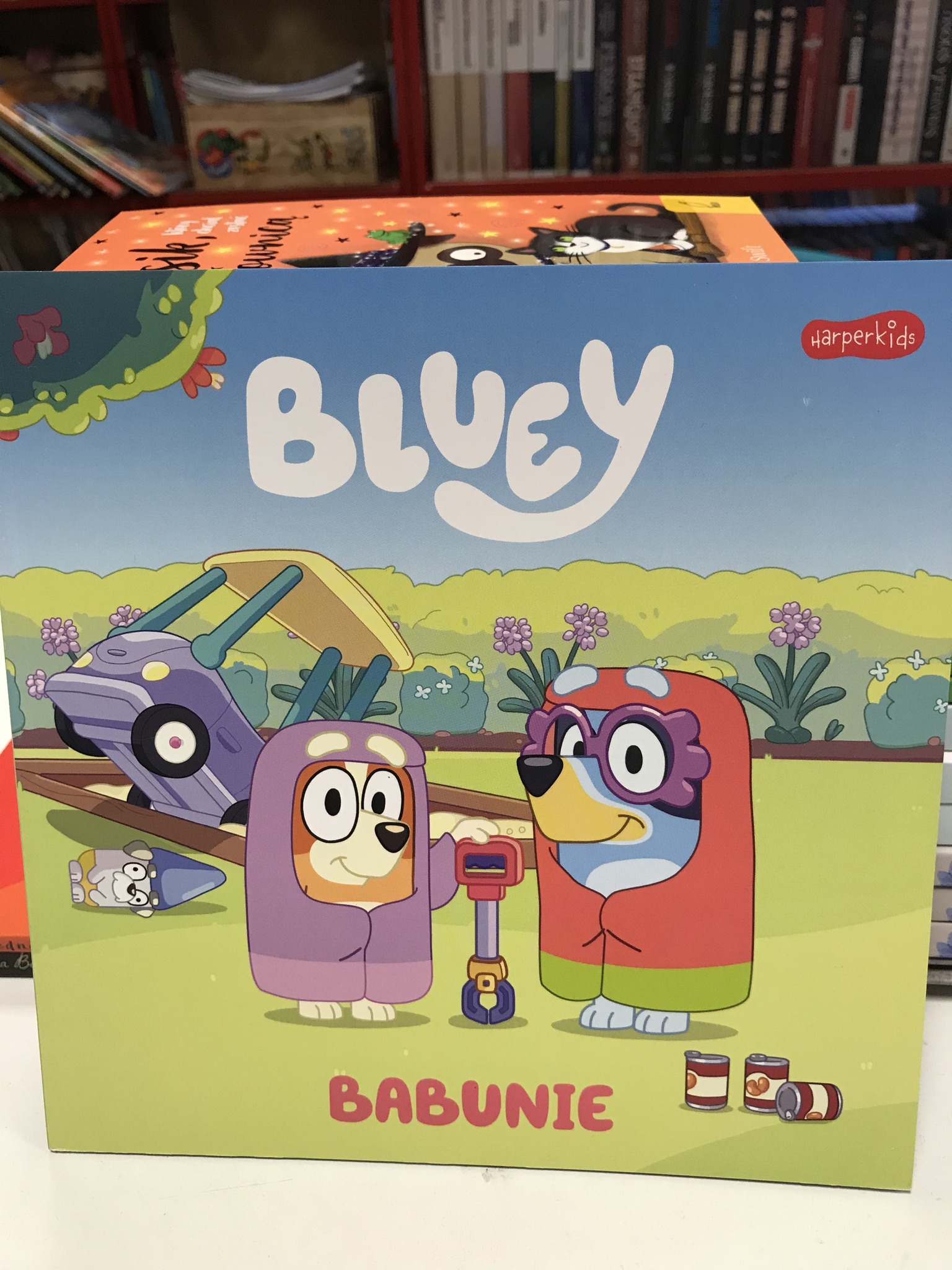 515241576 1558489678914912 7290037987958494924 N