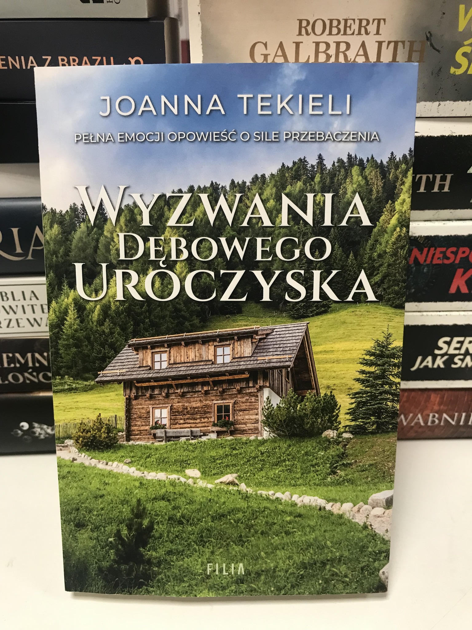 493862334 1504876720942875 3438821434255281358 N