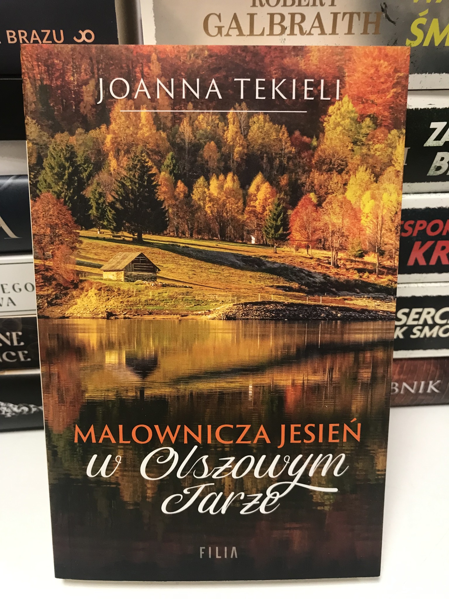 494088694 1504876954276185 5647292445096949249 N