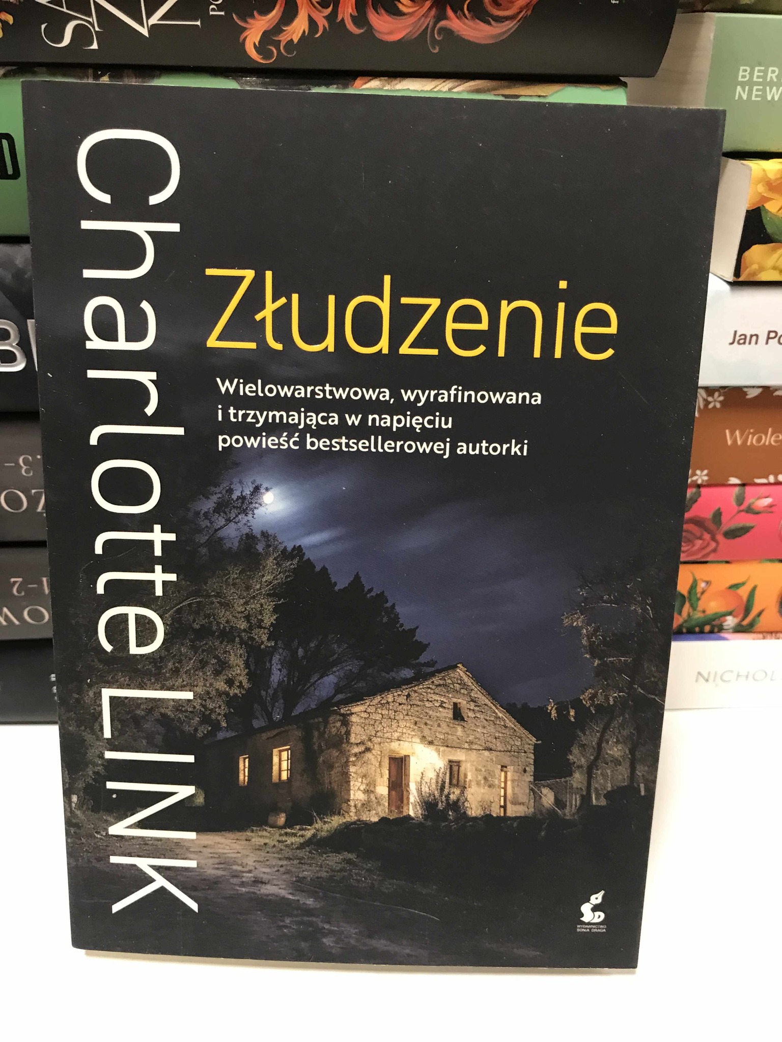 564582260 1650963296334216 2528409106325283647 N