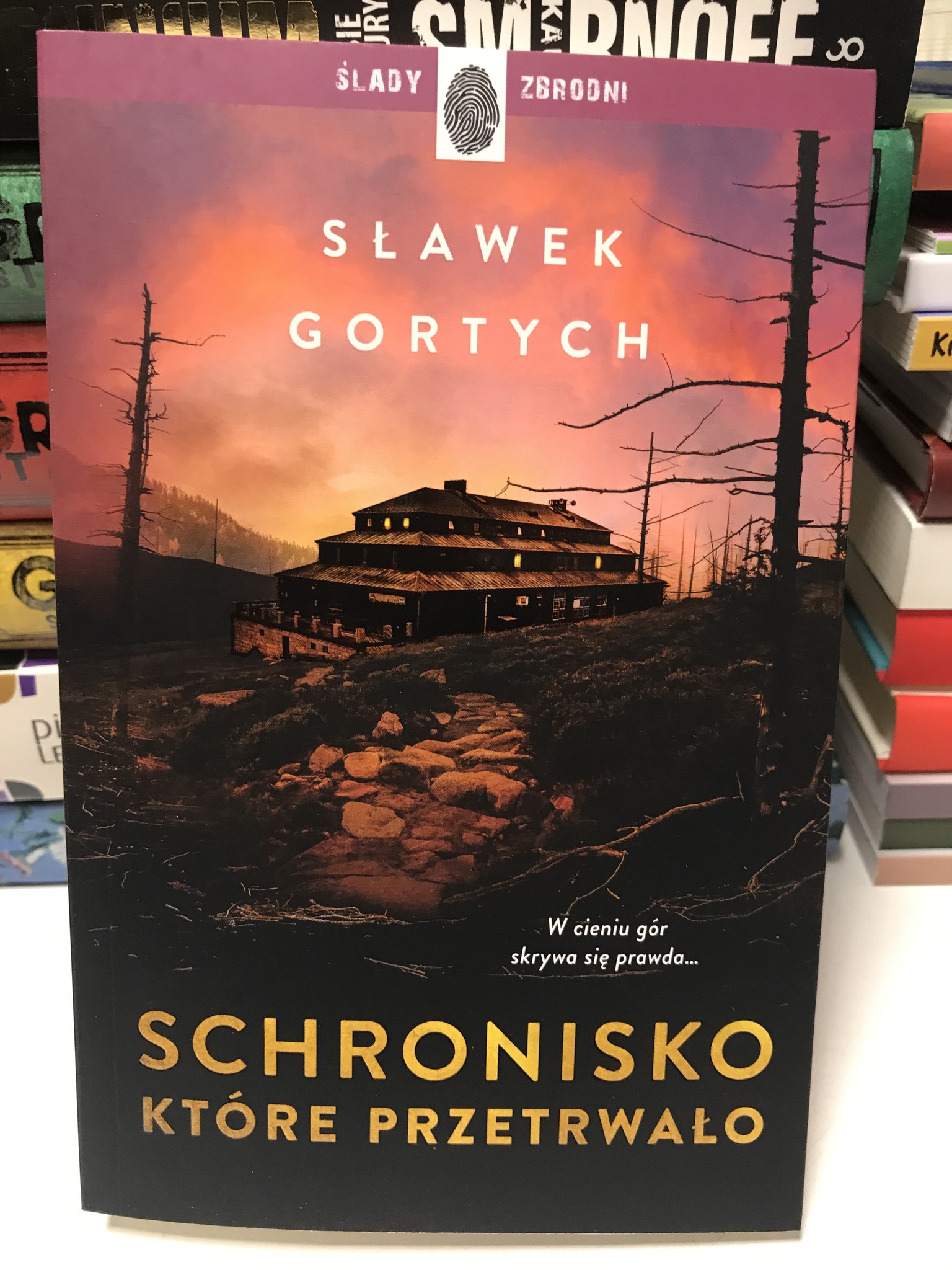 584953838 1685339069563305 5603223764863013683 N