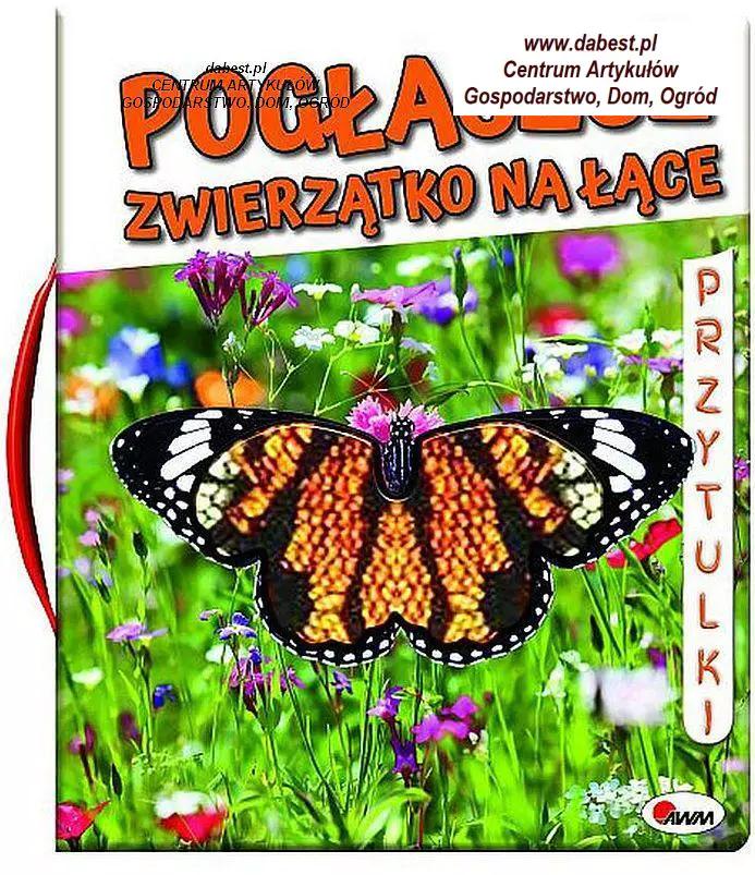 485369293 1040008134834193 6168188569340070223 N