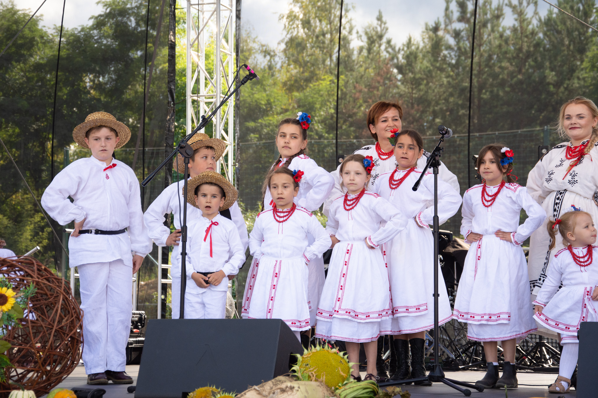 540751405 1189616279860428 8772990992302302737 N