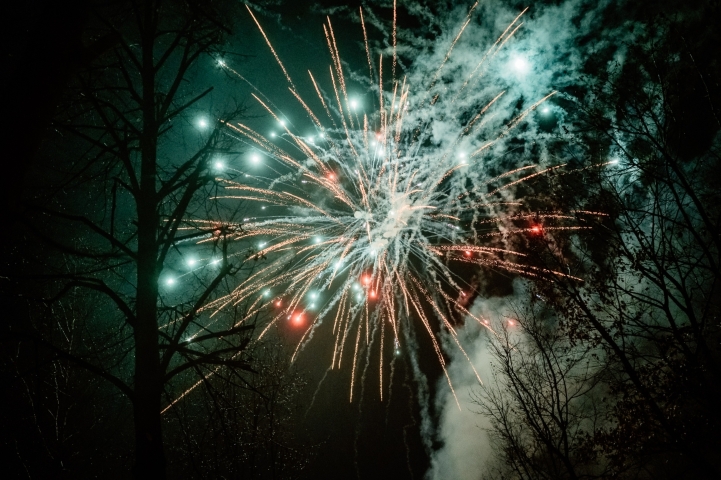 11 Listopada 2025 186